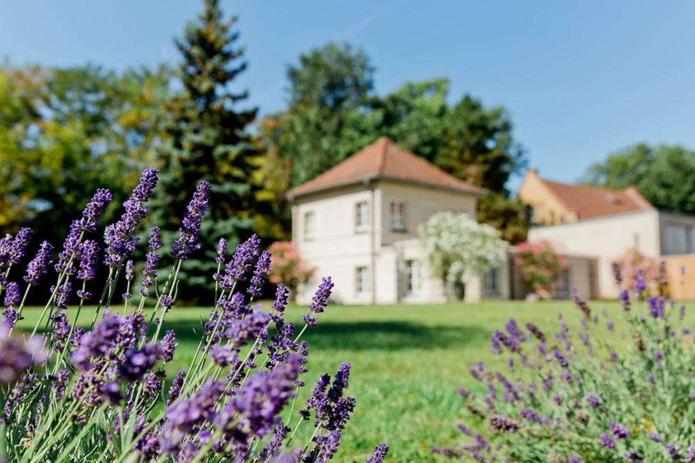 Landhaus Am Jungfernsee Potsdam Exterior photo